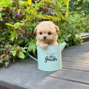 블리독(동대문장안점) 이미지