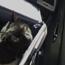 제이엠 동물병원 이미지