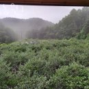 동양평농원 이미지