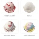 스타일베라