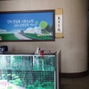 골든카써비스 이미지