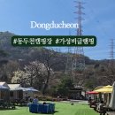 코알라캠핑장 네이버블로그