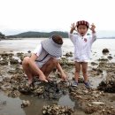 바다가아름다운집 이미지