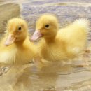 카페 자주 이미지