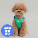 리드.콤 | 내돈내산 직접 써본 바잇미 컴포트 하네스 M 사이즈 리뷰 + 페이스콤 후기 산책 필수템