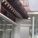 세루리안인사 이미지