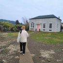 신창초등학교 | [제주 2박3일 여행] 제주 3일차 채훈이네해장국, 랜디스도넛, 영국찻집, 동문시장, 아베베베이커리...