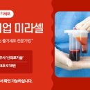 미라셀주식회사 이미지