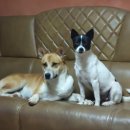 원북농장 이미지