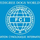 애견세계 이미지