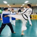 동대태권도 이미지