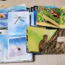 별삐아제어린이집 이미지