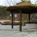 작은등샘 이미지