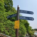 바다숲 풀내음 이미지