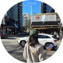 청명세탁 | 호주 자유여행 기록1, 시드니 티웨이 항공 장거리 후기, 호주 입국 심사 상비약 팁, 퀘스트 노스 시드니...