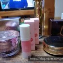 에스더블유202 | 독도사랑운동본부 8월 우수기자상 #협찬