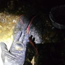 창기카센터 이미지