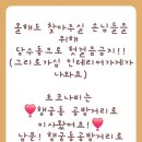 초코나비