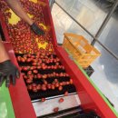 상포농장 이미지