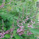 개포4-106 이미지