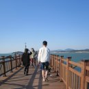 초이스한날 이미지