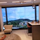 버밀리언 이미지