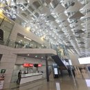 대한항공 모닝캄 바우처 김포 제주 공항 라운지 이용하기