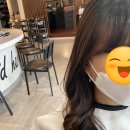 나비드헤어 이미지