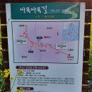 도화버스공용터미널 Daum카페