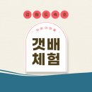 청호동 신수로 | 갯배 탑승 체험 / 강원도 속초여행 아바이마을 가을동화촬영지 아이들과 가볼만한곳