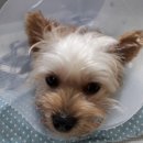 마루동물병원 이미지