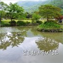 남도버스 이미지