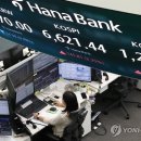 1472 폴리뉴스