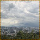 신일의원 이미지