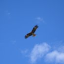 상하전통시장 이미지