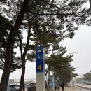 미국간호사 - 1박 2일 괌랜딩 후기 / 티웨이항공 / 인천공항 장기주차장 / 괌 카카오택시 예약