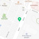 커들리 퍼피 창원강아지 분양 이미지