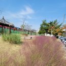 한경희광천토굴새우젓 이미지