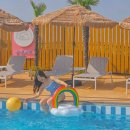 안녕비토 이미지