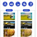 CUBA FIT(쿠바핏) | 선글라스 쇼핑몰 맥코인 클립온 선글라스 쿠바 추천