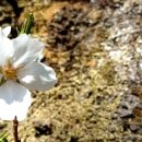 민주당 격노!! 한덕수 탄핵 추진 &#34;권한쟁의 + 000도 간다&#34;.. 민주당의 히든카드는 &#39;이것&#39;이었나? 이미지