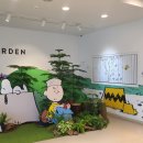 제주반디하우스 | 아이들이 제일 좋아한 제주 스누피가든｜가족여행 필수코스