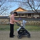 어파 | 어파베이비 크루즈 V3 절충형 유모차 이민정 유모차 한달 사용 후기