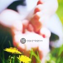 안광욱 걷기약발 연구소 걷기 콘서트 참가 후기