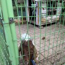 뉴무지개펜션 이미지