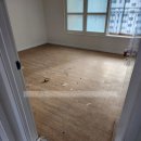 MM 소프트 | 병점 장판시공 꾸미오 - LX하우시스 장판 지아자연애2.2T(mm) ZJ43601-22 소프트콘크리트 시공후기