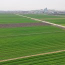 군산스마트공인중개사사무소 이미지