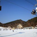 수안보이글벨리스키리조트 이미지