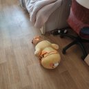 김동규과외 | 4월의 일상 1-3주차