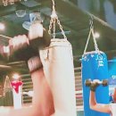 진정식복싱클럽 이미지